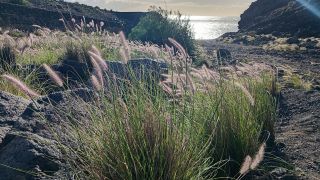 GC-Playa de Tasartico 2026-37.jpg